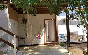 Blissful Garden Studio